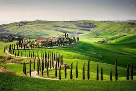 Italy Moto Tours Winding road lined with cypress trees through the lush green hills of Siena, showcasing the iconic Tuscan countryside.