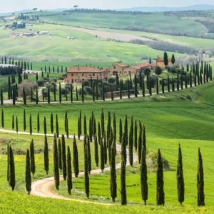 Curvy road lined with cypress trees leading to a rustic villa among the rolling green hills of Tuscany