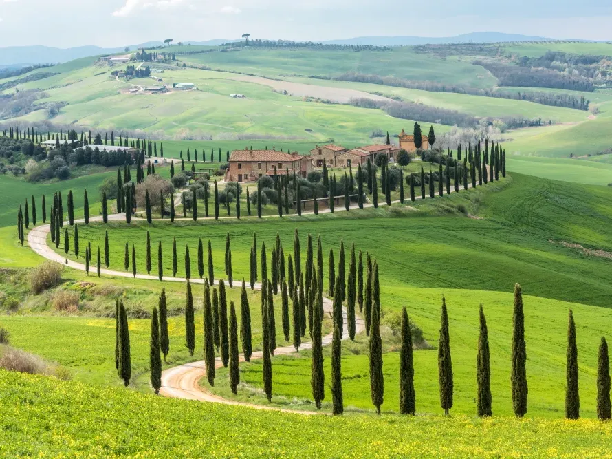 Italy Moto Tours Curvy road lined with cypress trees leading to a rustic villa among the rolling green hills of Tuscany