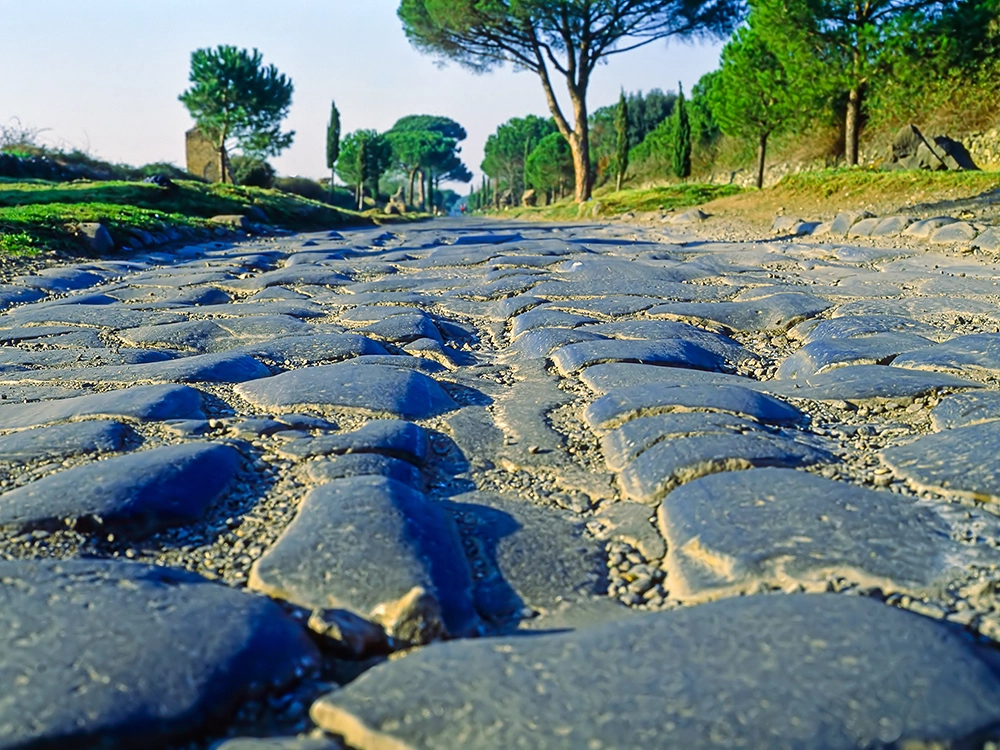 Close-up of a historic Roman cobblestone road flanked by cypress and pine trees under a clear sky