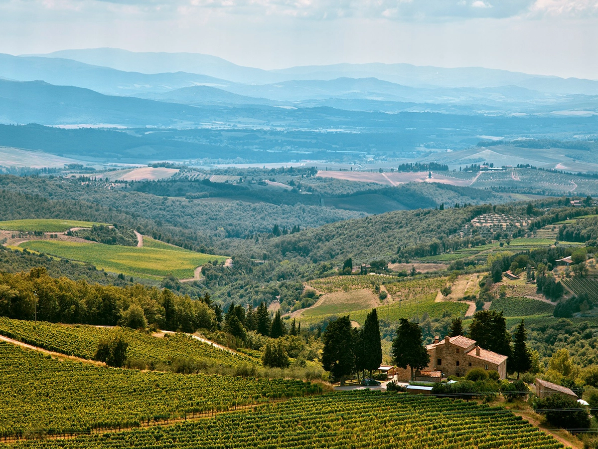 Panoramic view of sunlit vineyards stretching across rolling Tuscan hills with a rustic farmhouse in the foreground