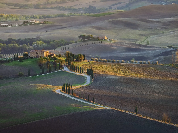 Italy Moto Tours A winding country road lined with tall cypress trees passing through rolling Tuscan hills at sunrise