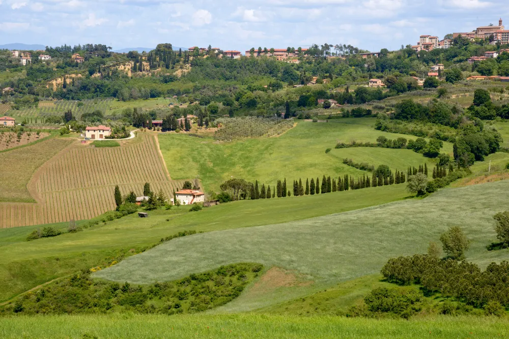 Italy Moto Tours Rolling green hills and vineyards with cypress trees in the Chianti region of Tuscany, Italy