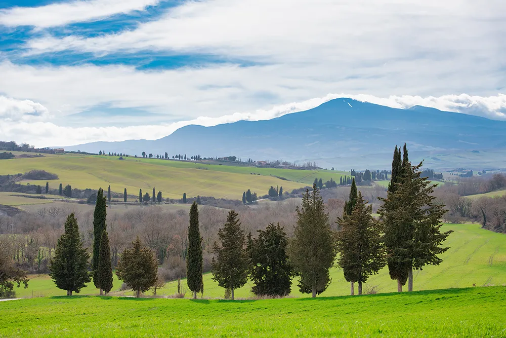 Italy Moto Tours Green, undulating hills of Val d’Orcia in Tuscany with rows of cypress trees and Mount Amiata on the horizon.