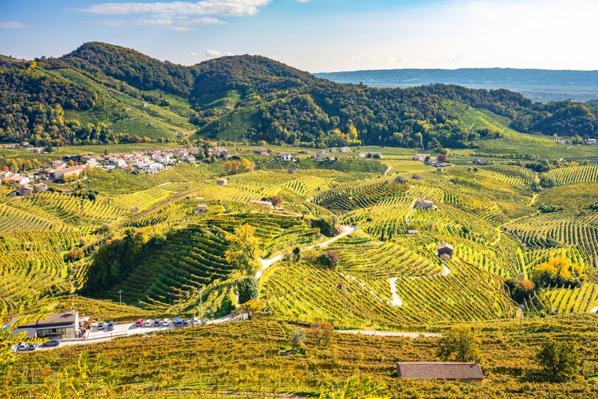 Vineyard-covered hills and winding roads around Valdobbiadene, Italy.